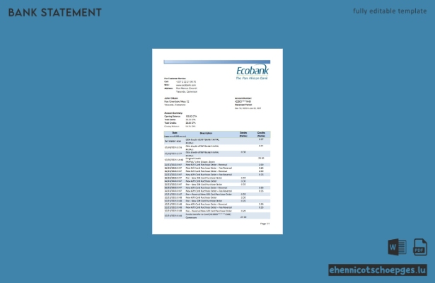 Beispiel eines Kontoauszugs der Cameroon Ecobank (Excel-Vorschau)